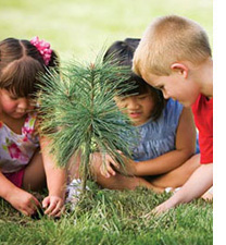 Testing To Growpsycho-educational evaluation