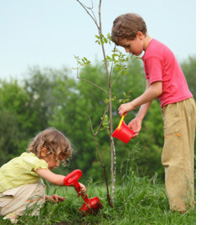 Frequently administered tests